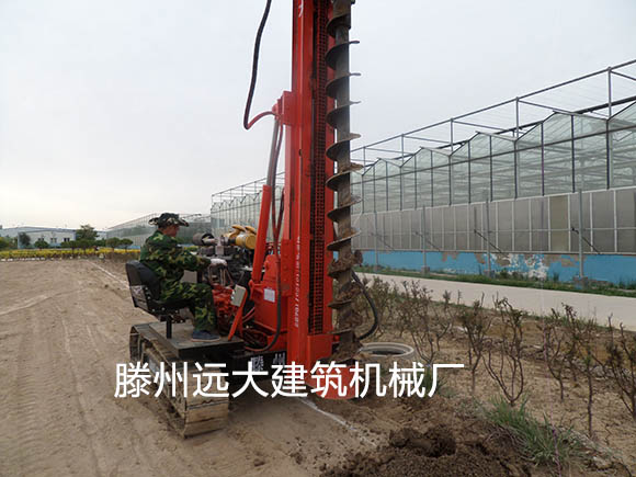 香蕉成人A片视频香蕉视频在线观看网站